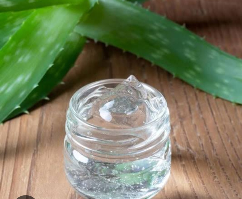 screenshot 20251110 100424 google (3)