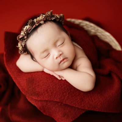 Free stock photo of angels, babies, baby